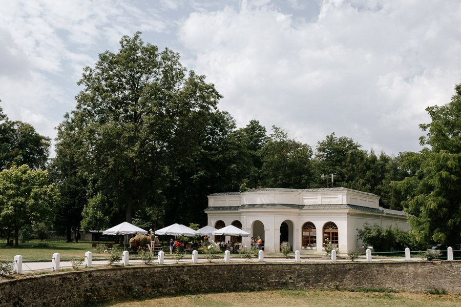 Restauracja obok Pałacu w Kurozwękach Restauracja obok Pałacu w Kurozwękach