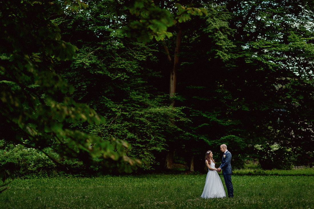 Zdjęcia w lesie, Romantyczna sesja ślubna, Sfotografowani reportaż ślubny
