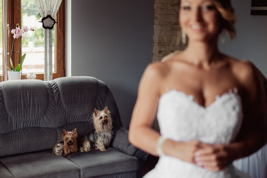 Psy, Fotografia ślubna, Ulotne chwile w dniu ślubu