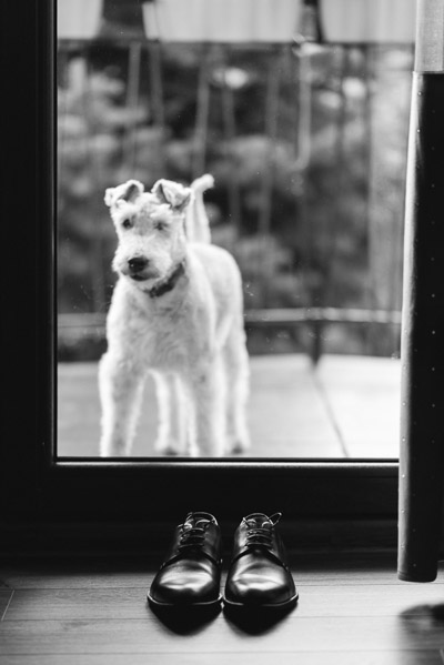 Buty ślubne, Reportaż ślubny, Pies, Fotograf ślubny Śląsk 