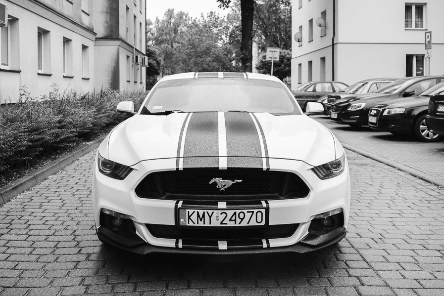 Mustang do ślubu, Mustangiem do ślubu