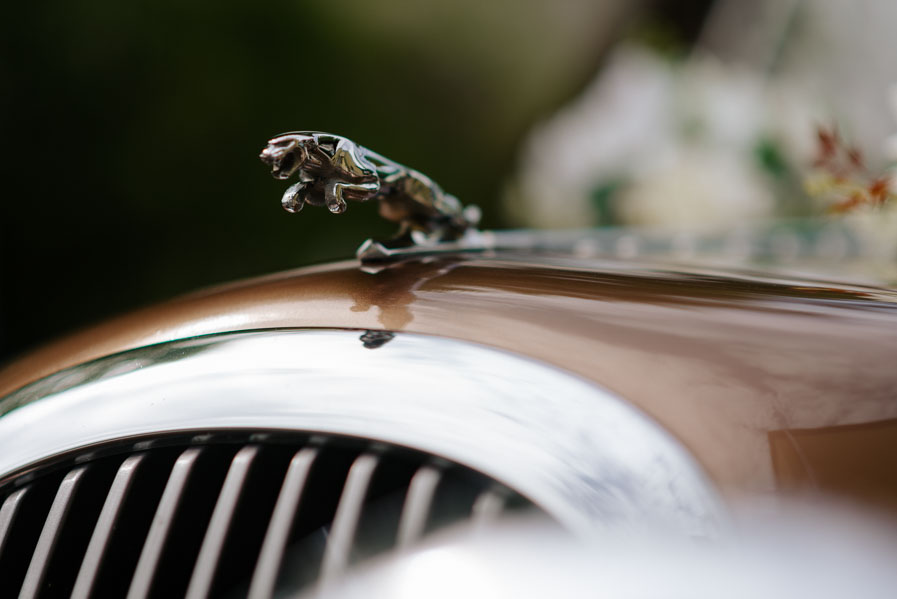 Jaguar do ślubu, Zdjęcia ślubne i weselne, Fotograf na ślub